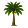 نخلة مثمرة