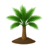 نخلة صغيرة