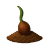 بذرة